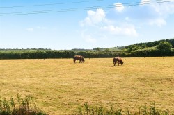 Images for Tresevern, Stithians, Truro
