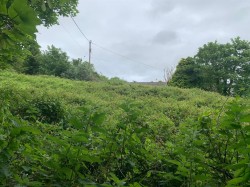 Images for Pentowan Road, Loggans, Hayle