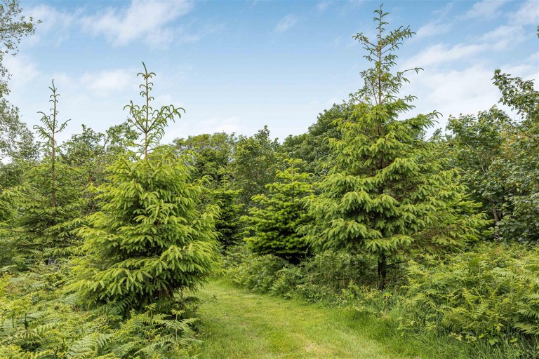 Images for Higher Stennack, Mid West Cornwall