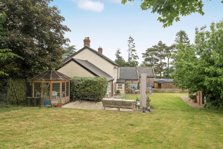 Images for Ash Thomas, Tiverton