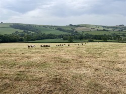 Images for Stockleigh Pomeroy, Crediton