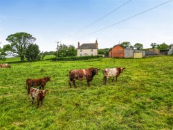 Images for Stockleigh Pomeroy, Crediton