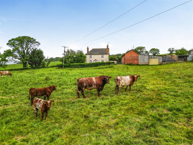 Images for Stockleigh Pomeroy, Crediton