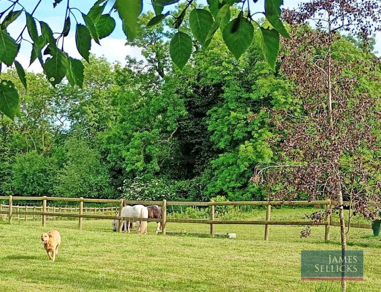 Images for Hall Farm, Ashby Magna, Lutterworth, Leicestershire