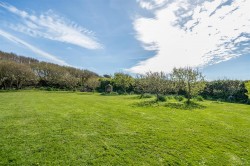Images for Trevone