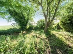 Images for Faulstone Lane, Bishopstone
