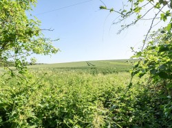 Images for Faulstone Lane, Bishopstone