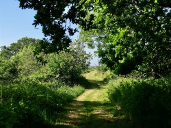 Images for Blackborough, Cullompton