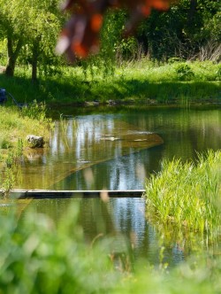 Images for Blackborough, Cullompton