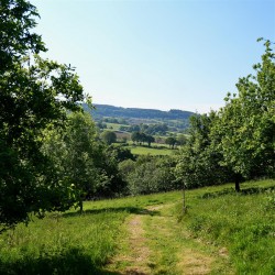 Images for Blackborough, Cullompton