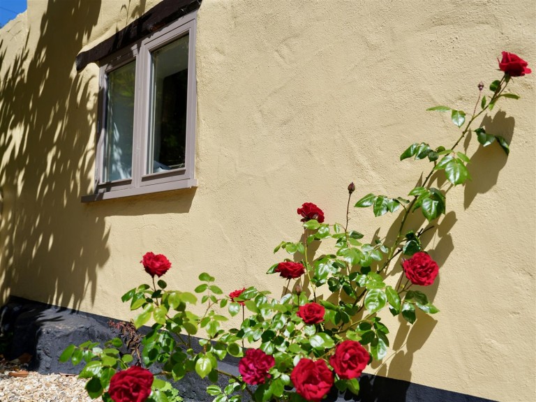 Images for Blackborough, Cullompton