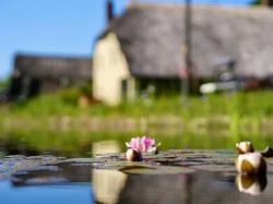 Images for Blackborough, Cullompton