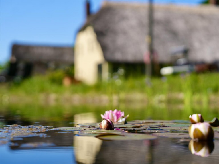 Images for Blackborough, Cullompton