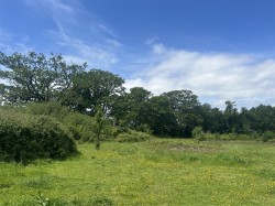 Images for 2.87 acres Land off Wimborne Road, Colehill, Wimborne