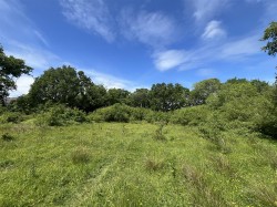 Images for 2.87 acres Land off Wimborne Road, Colehill, Wimborne