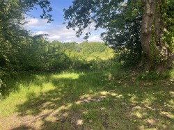 Images for 2.87 acres Land off Wimborne Road, Colehill, Wimborne