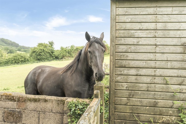 Images for Sidbury, Sidmouth
