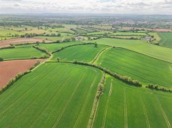 Images for Whimple, Exeter