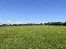 Images for Rackenford, Tiverton