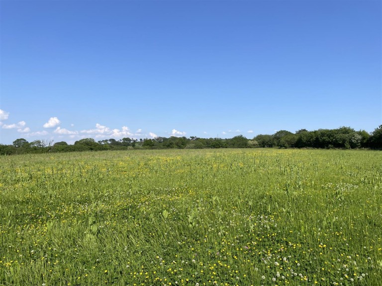 Images for Rackenford, Tiverton