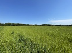 Images for Rackenford, Tiverton