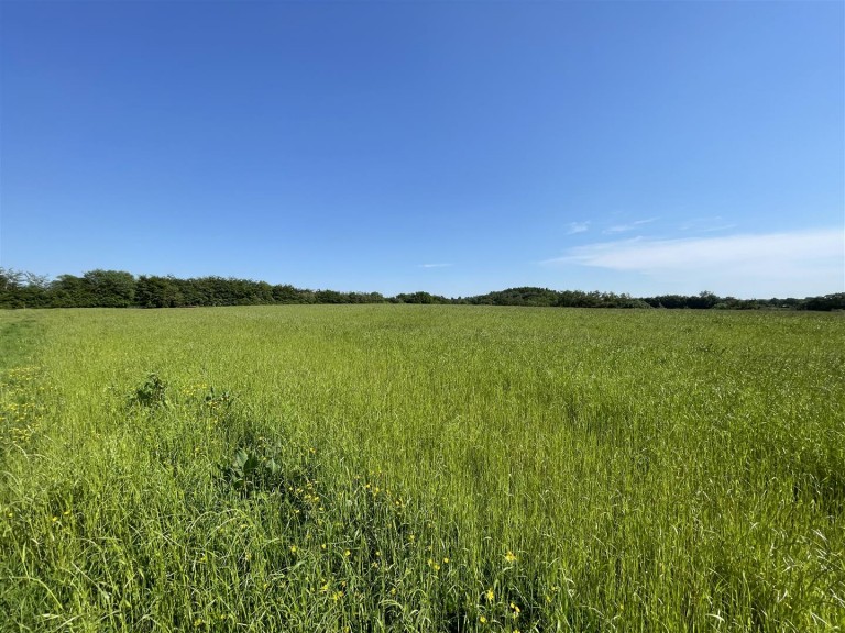 Images for Rackenford, Tiverton