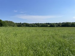 Images for Rackenford, Tiverton