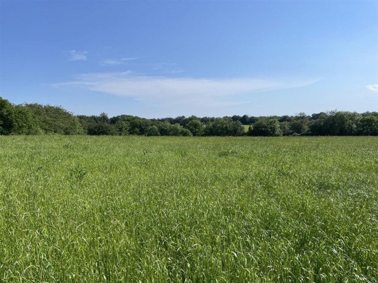 Images for Rackenford, Tiverton