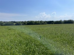 Images for Rackenford, Tiverton
