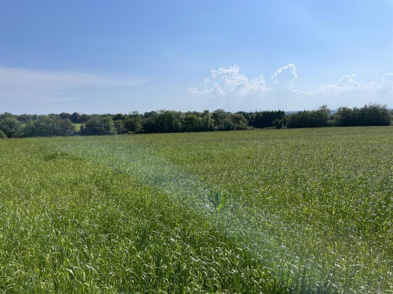 Images for Rackenford, Tiverton