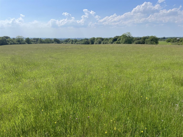 Images for Rackenford, Tiverton