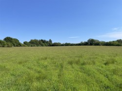 Images for Rackenford, Tiverton