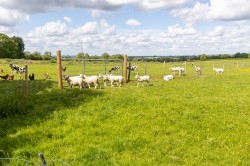 Images for Main Street, Ashby Parva, Lutterworth, LE17