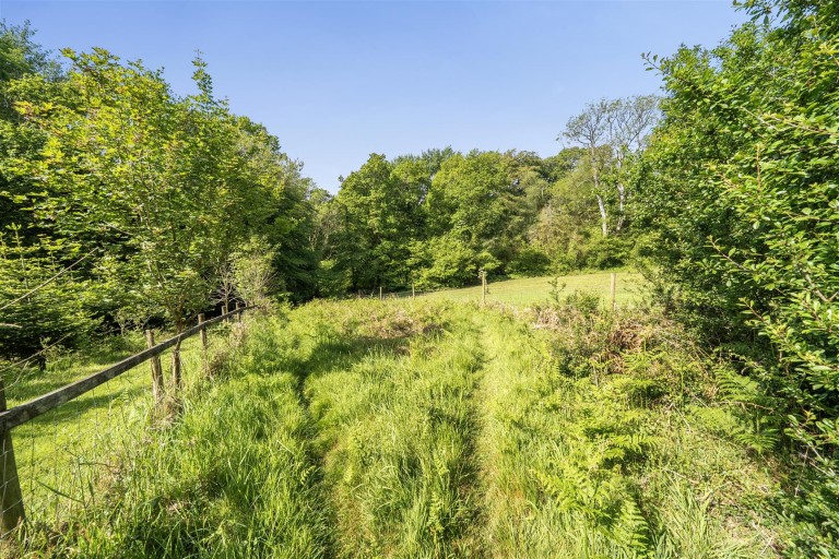 Images for Trinity Hill, Axminster