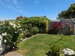 Images for Westward Ho!