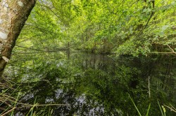 Images for Hawkchurch, Axminster