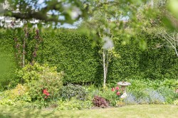 Images for Stourton Caundle, Sturminster Newton, Dorset