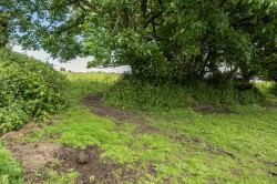 Images for Mullacott Cross