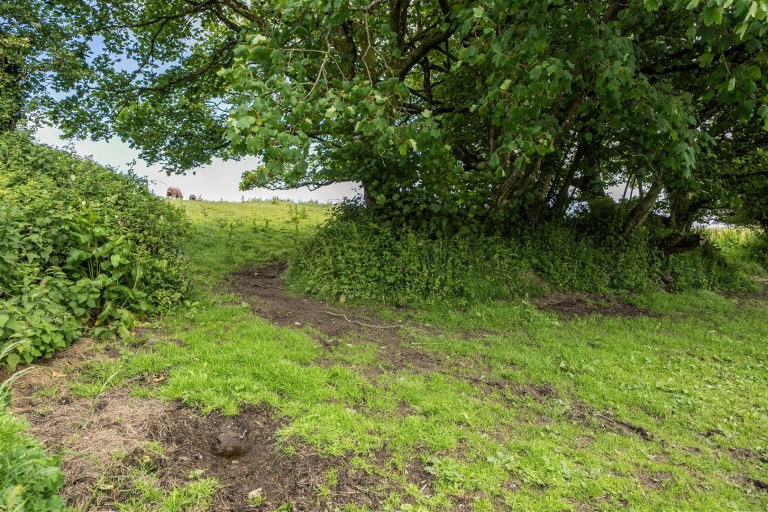 Images for Mullacott Cross