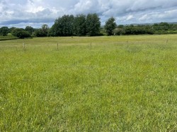 Images for Land and Stables at Yetminster
