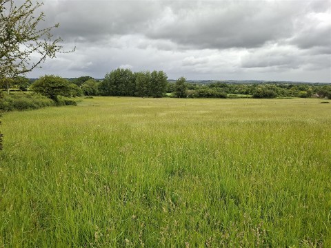 Click the photo for more details of Land and Stables at Yetminster