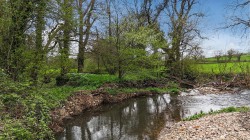 Images for Whitestaunton, Chard, Somerset