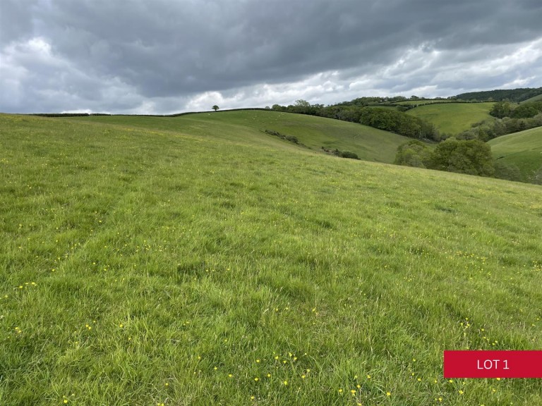 Images for Dunsford, Exeter