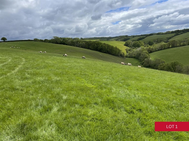 Images for Dunsford, Exeter