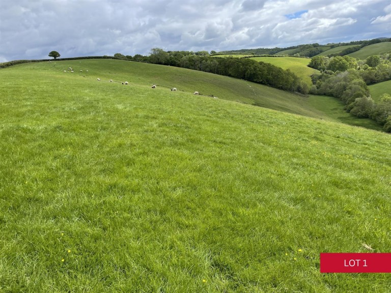 Images for Dunsford, Exeter