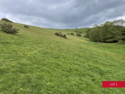 Images for Dunsford, Exeter