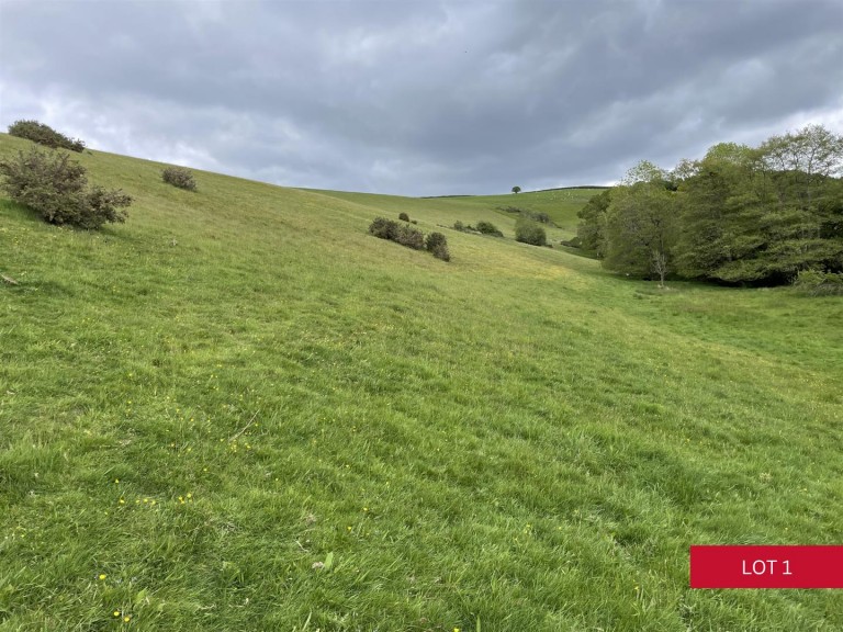 Images for Dunsford, Exeter
