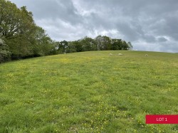 Images for Dunsford, Exeter