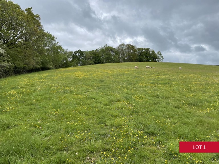 Images for Dunsford, Exeter