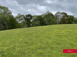 Images for Dunsford, Exeter